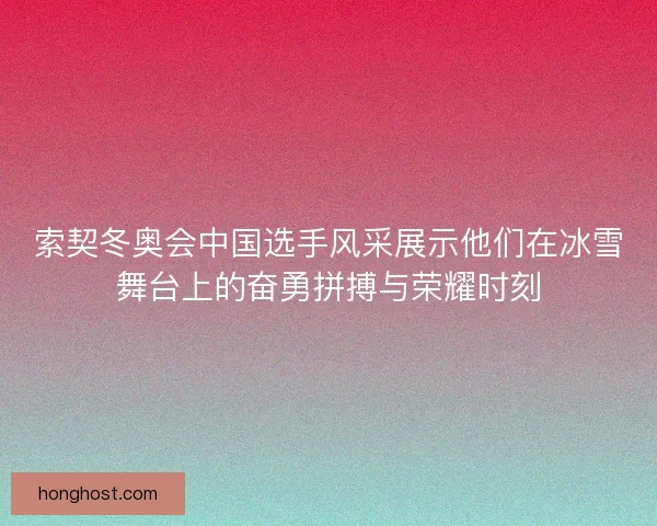 索契冬奥会中国选手风采展示他们在冰雪舞台上的奋勇拼搏与荣耀时刻