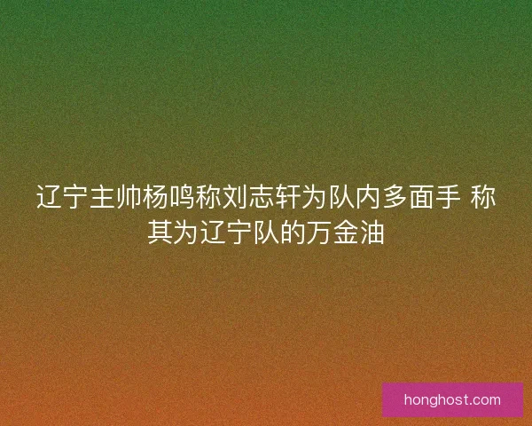 辽宁主帅杨鸣称刘志轩为队内多面手 称其为辽宁队的万金油